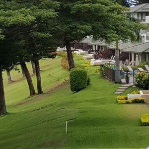 Meet your Posher, Brandy